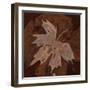 Maple Leaf 3-Rabi Khan-Framed Art Print