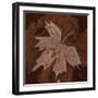 Maple Leaf 3-Rabi Khan-Framed Art Print