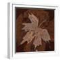 Maple Leaf 3-Rabi Khan-Framed Art Print