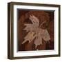 Maple Leaf 3-Rabi Khan-Framed Art Print