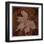Maple Leaf 3-Rabi Khan-Framed Art Print