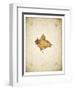 Maple leaf on yellowed paper, beige-Axel Killian-Framed Photographic Print