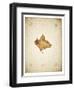 Maple leaf on yellowed paper, beige-Axel Killian-Framed Photographic Print