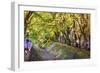 Maple Leaf Tunnel in Kawaguchi, Japan.-SeanPavonePhoto-Framed Photographic Print