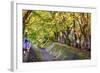 Maple Leaf Tunnel in Kawaguchi, Japan.-SeanPavonePhoto-Framed Photographic Print