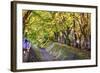 Maple Leaf Tunnel in Kawaguchi, Japan.-SeanPavonePhoto-Framed Photographic Print