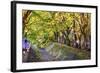 Maple Leaf Tunnel in Kawaguchi, Japan.-SeanPavonePhoto-Framed Photographic Print