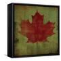 Maple Leaf-Ryan Fowler-Framed Stretched Canvas