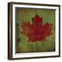 Maple Leaf-Ryan Fowler-Framed Art Print