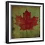 Maple Leaf-Ryan Fowler-Framed Art Print