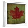 Maple Leaf-Ryan Fowler-Framed Art Print