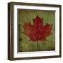 Maple Leaf-Ryan Fowler-Framed Art Print