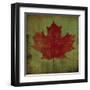 Maple Leaf-Ryan Fowler-Framed Art Print