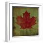 Maple Leaf-Ryan Fowler-Framed Art Print