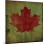 Maple Leaf-Ryan Fowler-Mounted Art Print