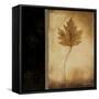 Maple Leaves 1-Kimberly Poloson-Framed Stretched Canvas