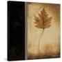 Maple Leaves 1-Kimberly Poloson-Stretched Canvas