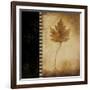 Maple Leaves 1-Kimberly Poloson-Framed Art Print