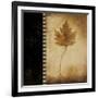 Maple Leaves 1-Kimberly Poloson-Framed Art Print