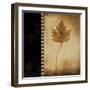 Maple Leaves 1-Kimberly Poloson-Framed Art Print