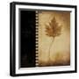Maple Leaves 1-Kimberly Poloson-Framed Art Print