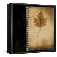 Maple Leaves 1-Kimberly Poloson-Framed Stretched Canvas