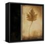 Maple Leaves 1-Kimberly Poloson-Framed Stretched Canvas