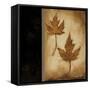 Maple Leaves 2-Kimberly Poloson-Framed Stretched Canvas