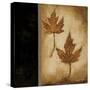 Maple Leaves 2-Kimberly Poloson-Stretched Canvas