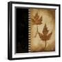 Maple Leaves 2-Kimberly Poloson-Framed Art Print