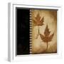 Maple Leaves 2-Kimberly Poloson-Framed Art Print