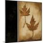 Maple Leaves 2-Kimberly Poloson-Mounted Art Print