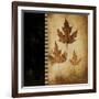 Maple Leaves 3-Kimberly Poloson-Framed Art Print