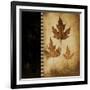 Maple Leaves 3-Kimberly Poloson-Framed Art Print
