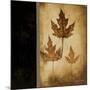 Maple Leaves 3-Kimberly Poloson-Mounted Art Print