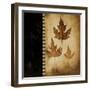 Maple Leaves 3-Kimberly Poloson-Framed Art Print