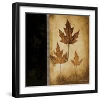 Maple Leaves 3-Kimberly Poloson-Framed Art Print