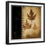 Maple Leaves 3-Kimberly Poloson-Framed Art Print