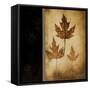 Maple Leaves 3-Kimberly Poloson-Framed Stretched Canvas
