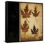 Maple Leaves 4-Kimberly Poloson-Framed Stretched Canvas