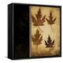 Maple Leaves 4-Kimberly Poloson-Framed Stretched Canvas