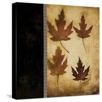 Maple Leaves 4-Kimberly Poloson-Stretched Canvas