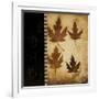 Maple Leaves 4-Kimberly Poloson-Framed Art Print