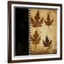 Maple Leaves 4-Kimberly Poloson-Framed Art Print