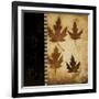 Maple Leaves 4-Kimberly Poloson-Framed Art Print