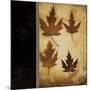 Maple Leaves 4-Kimberly Poloson-Mounted Art Print