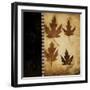 Maple Leaves 4-Kimberly Poloson-Framed Art Print