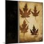 Maple Leaves 4-Kimberly Poloson-Mounted Art Print