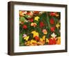 Maple Leaves and Grass-James Randklev-Framed Photographic Print