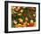 Maple Leaves and Grass-James Randklev-Framed Photographic Print